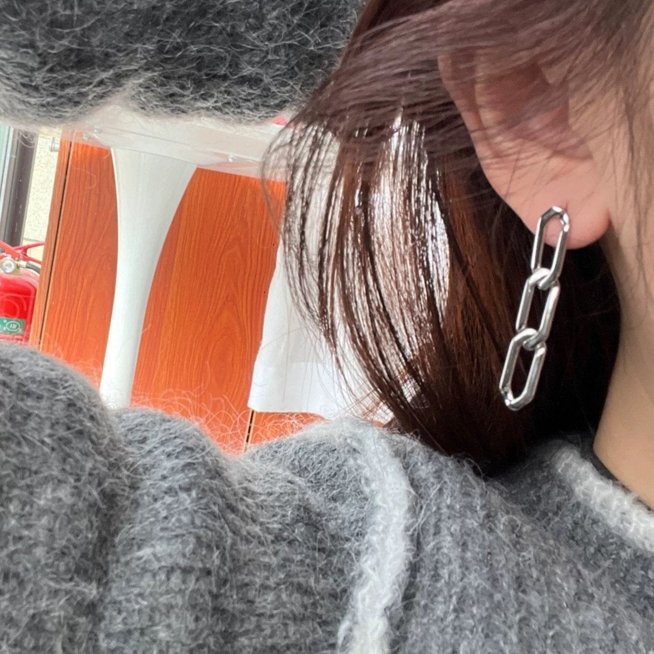 Iris ✧ Silver/Gold-Plated Chain Earrings